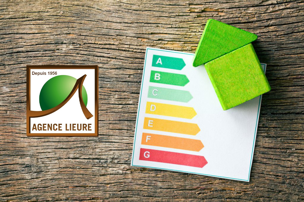 Location : le seuil de la décence éne...